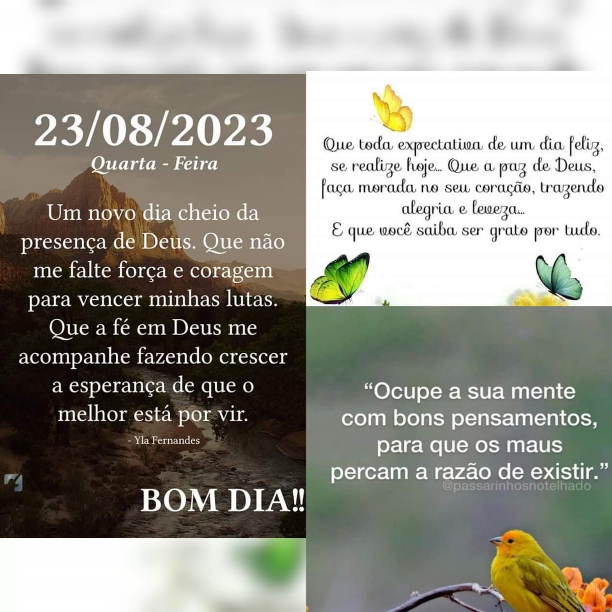 Pensamento do dia