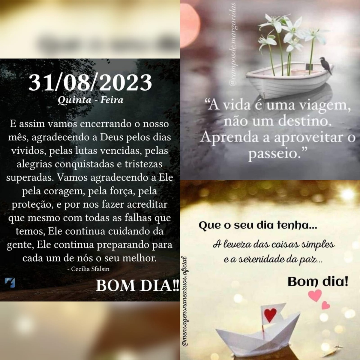 Pensamento do dia