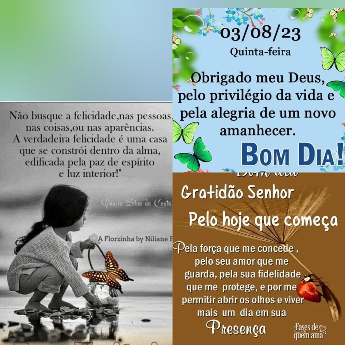 Pensamento do dia