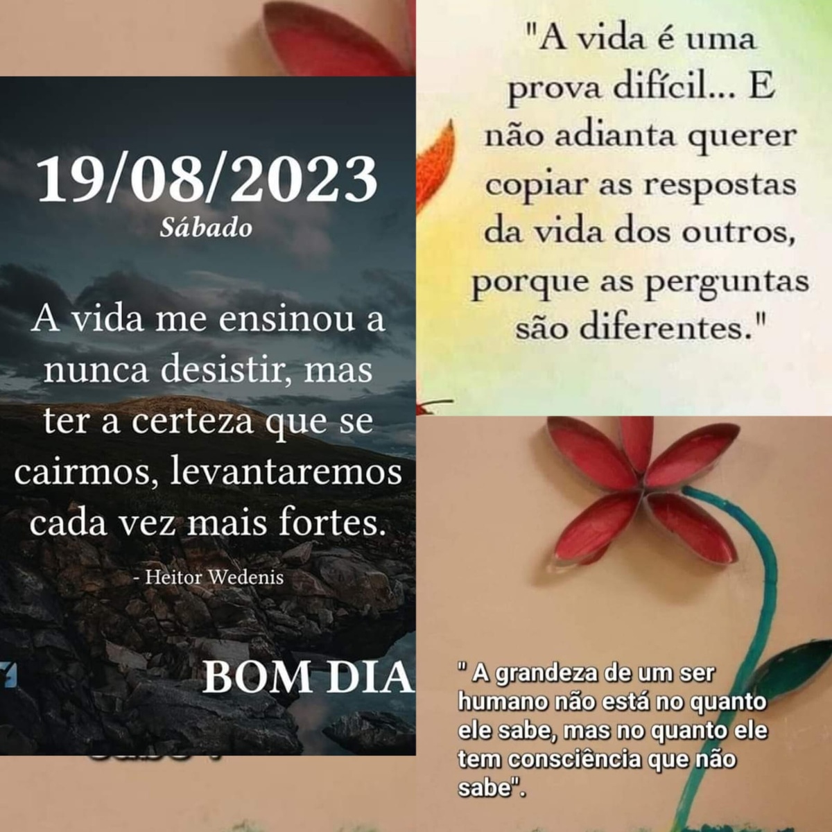 Pensamento do dia