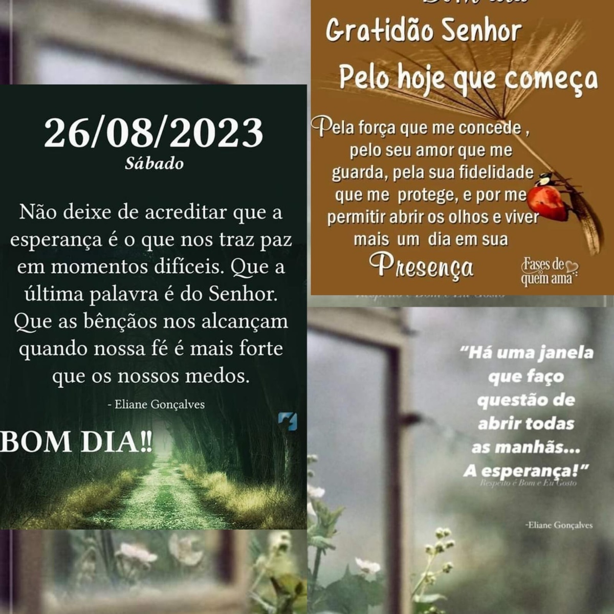 Pensamento do dia