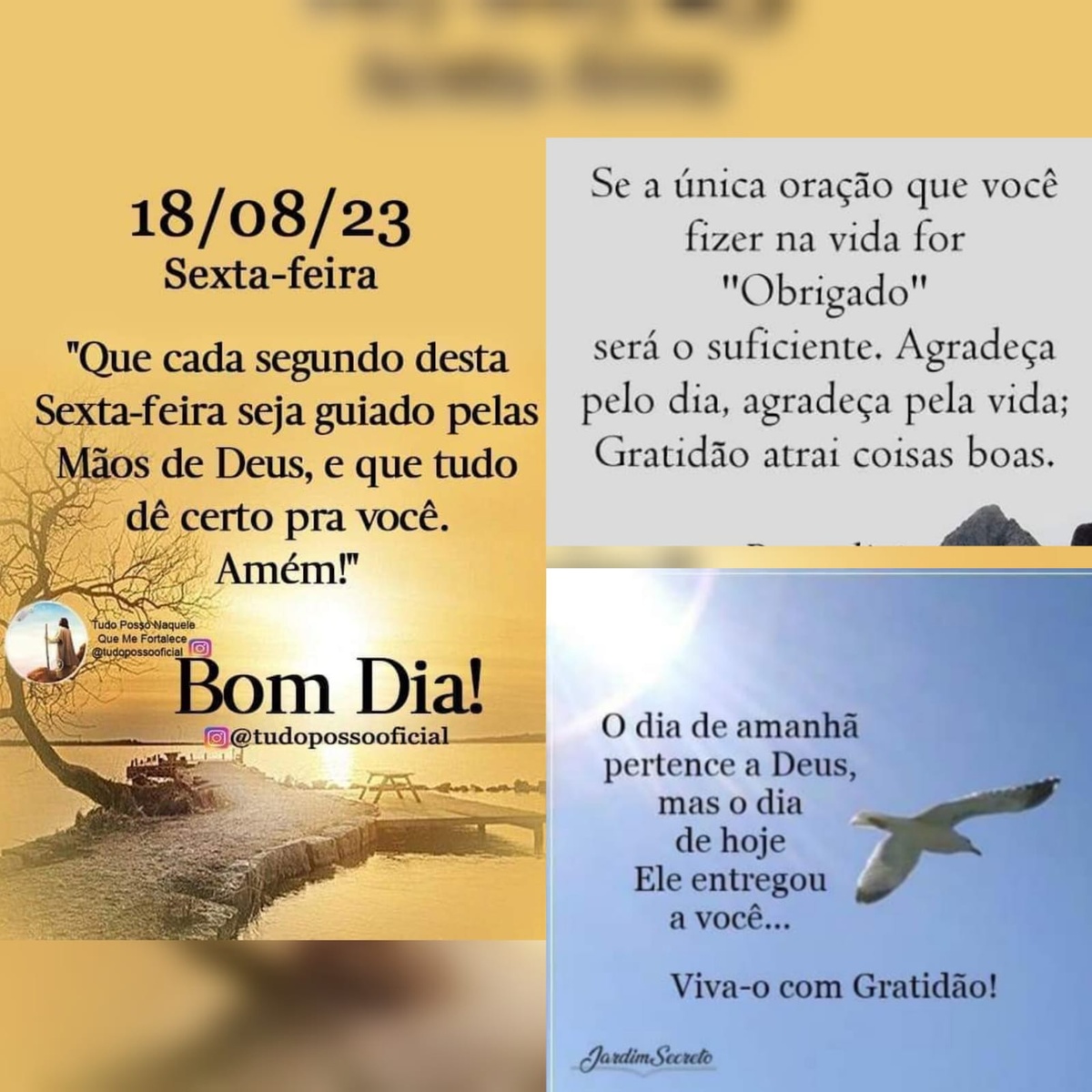 Pensamento do dia