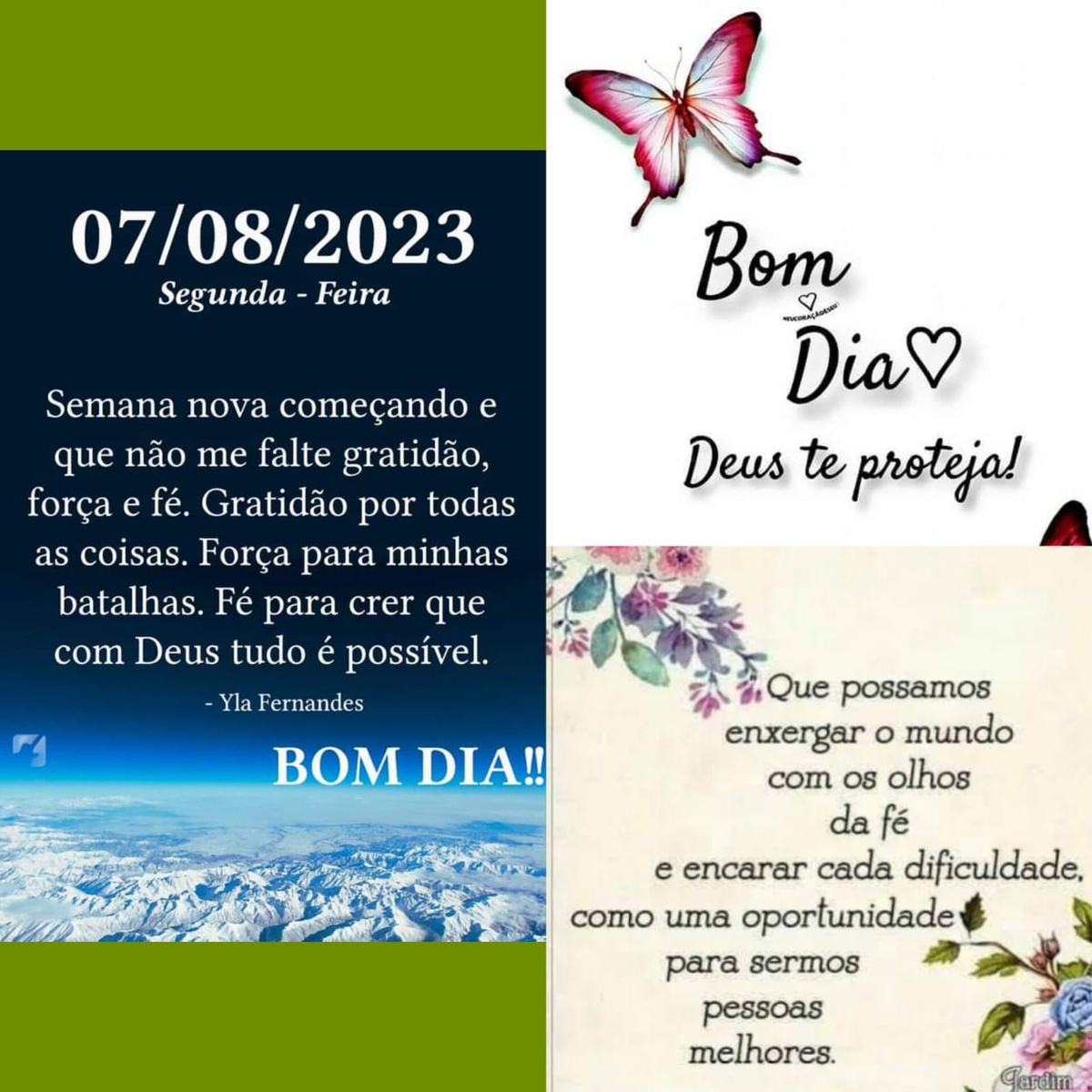 Pensamento do dia