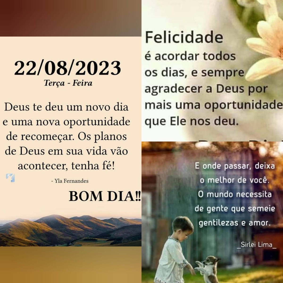Pensamento do dia