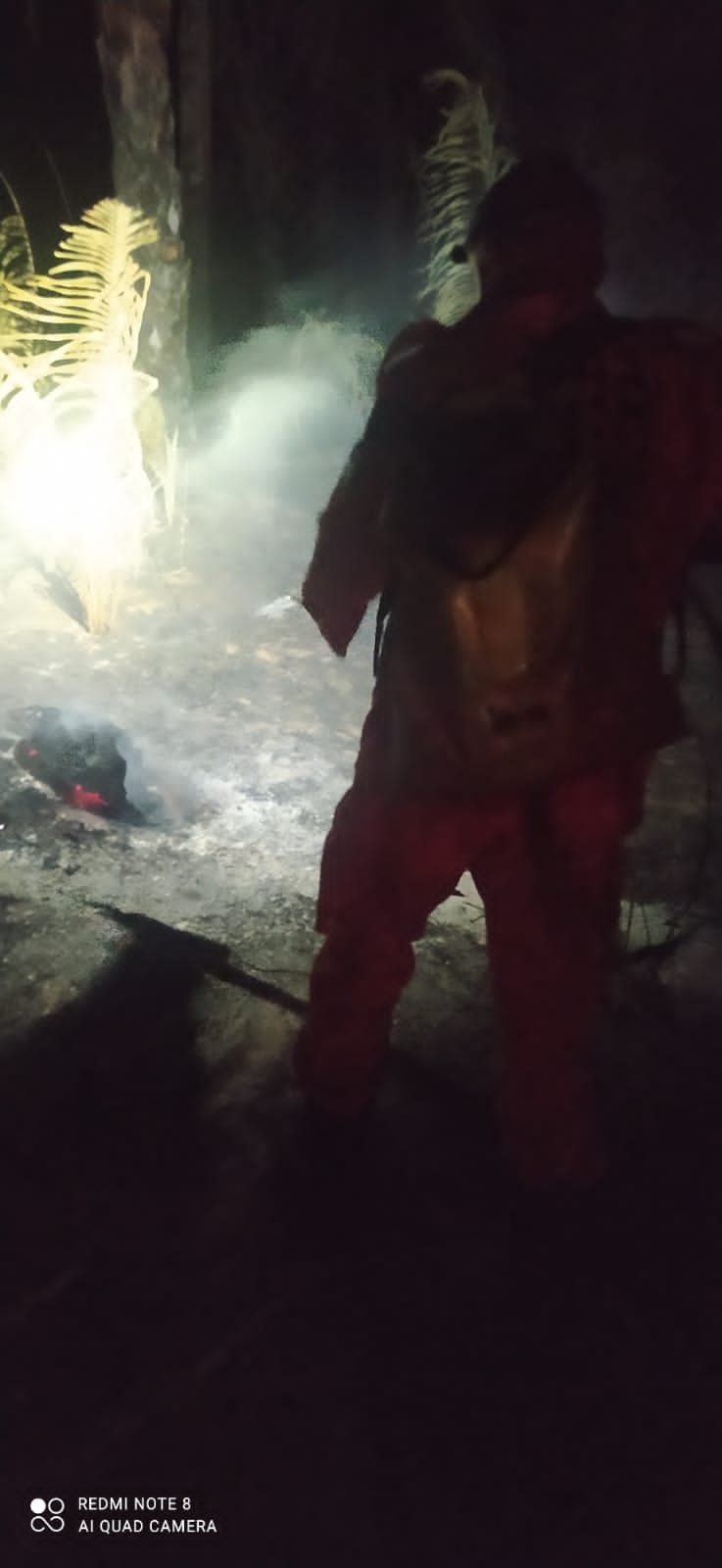 Causas do incêndio ainda são desconhecidas