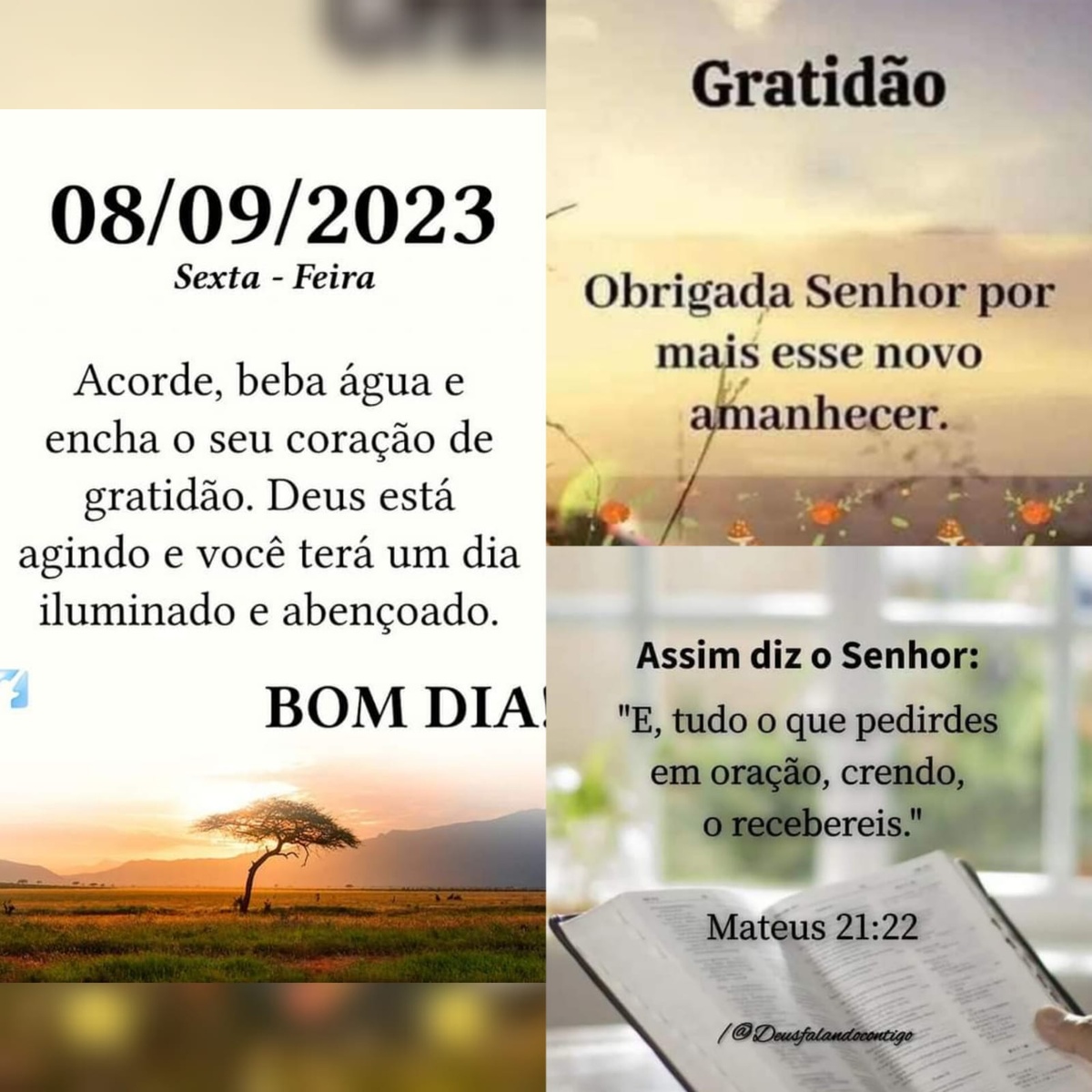 Pensamento do dia