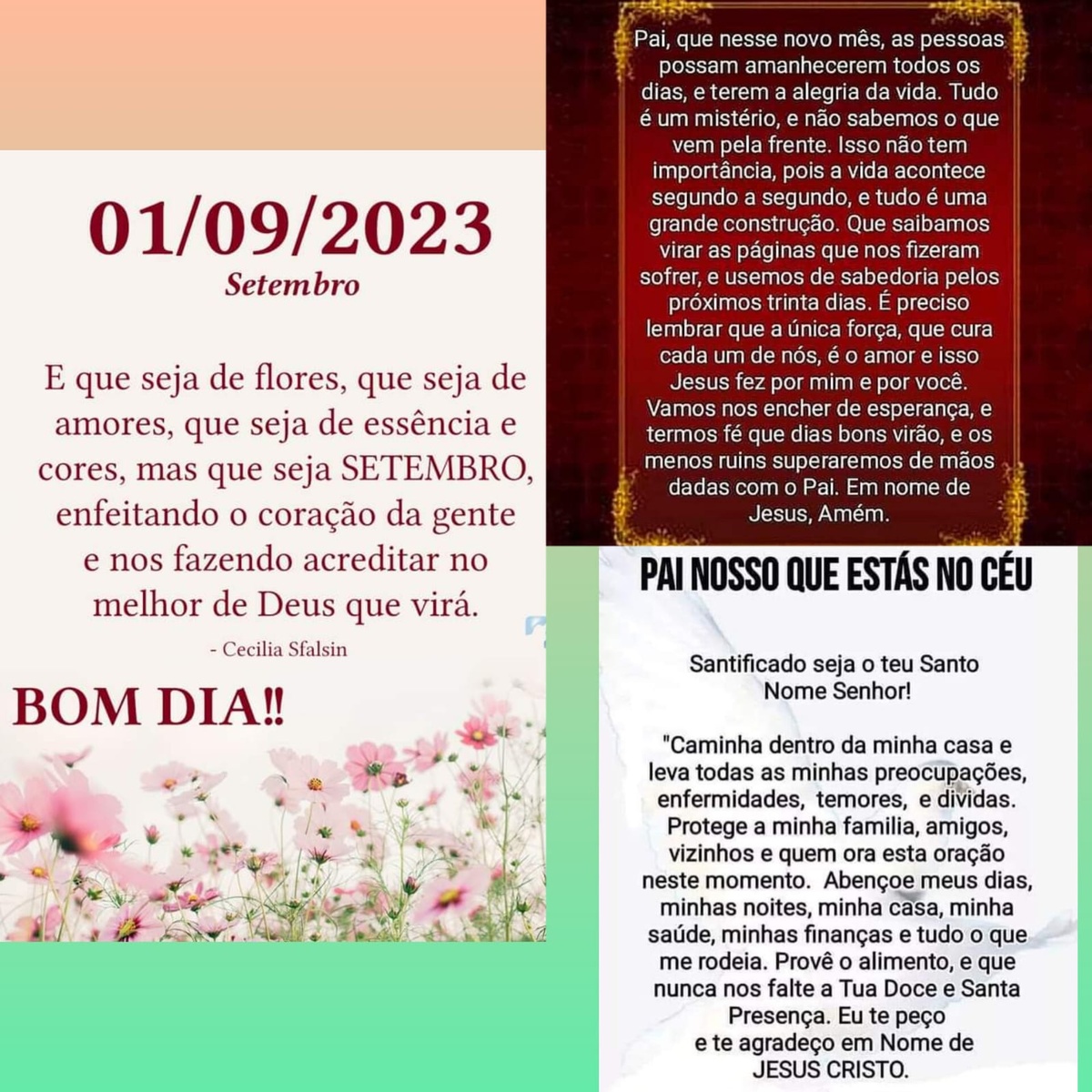 Pensamento do dia