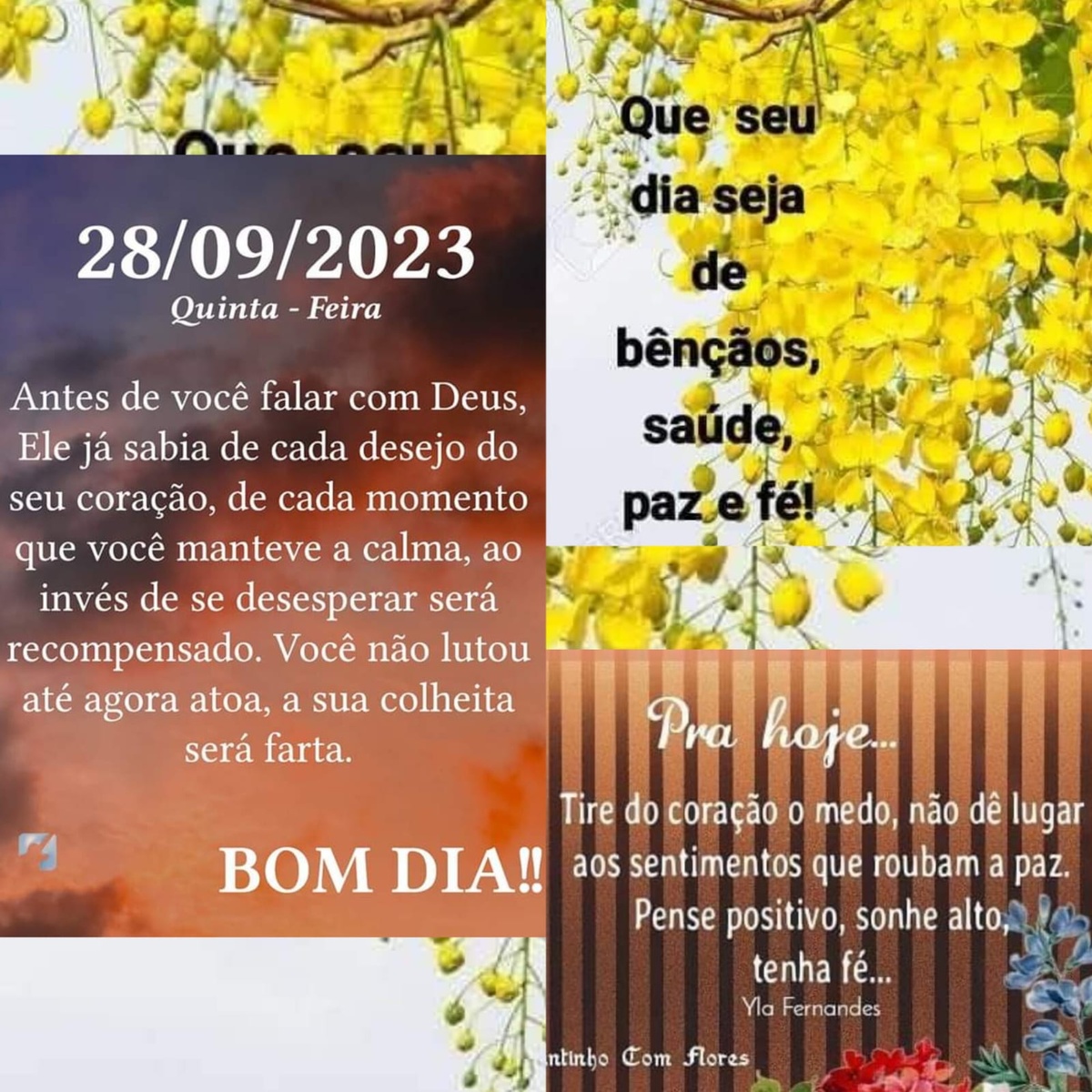 Pensamento do dia