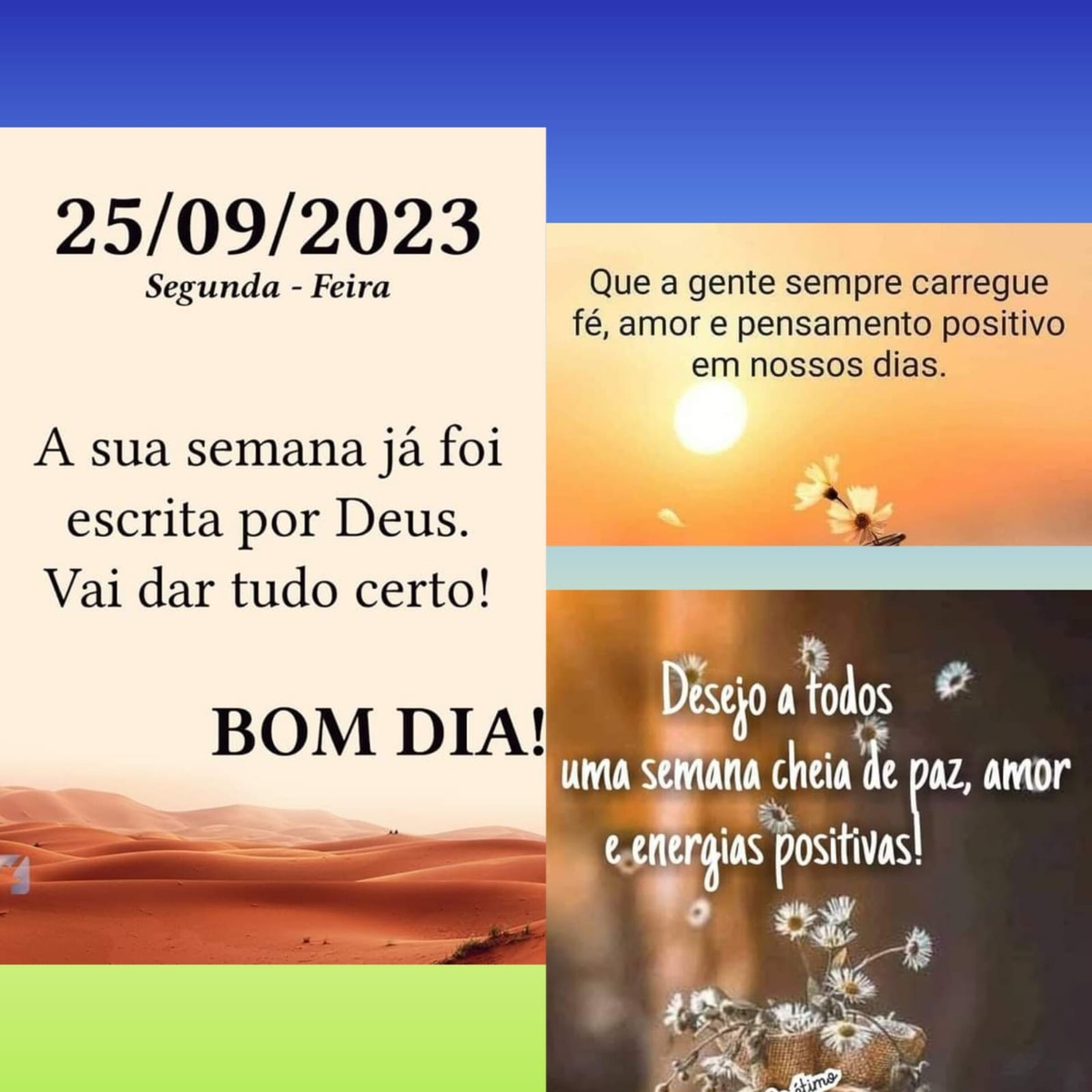 Pensamento do dia