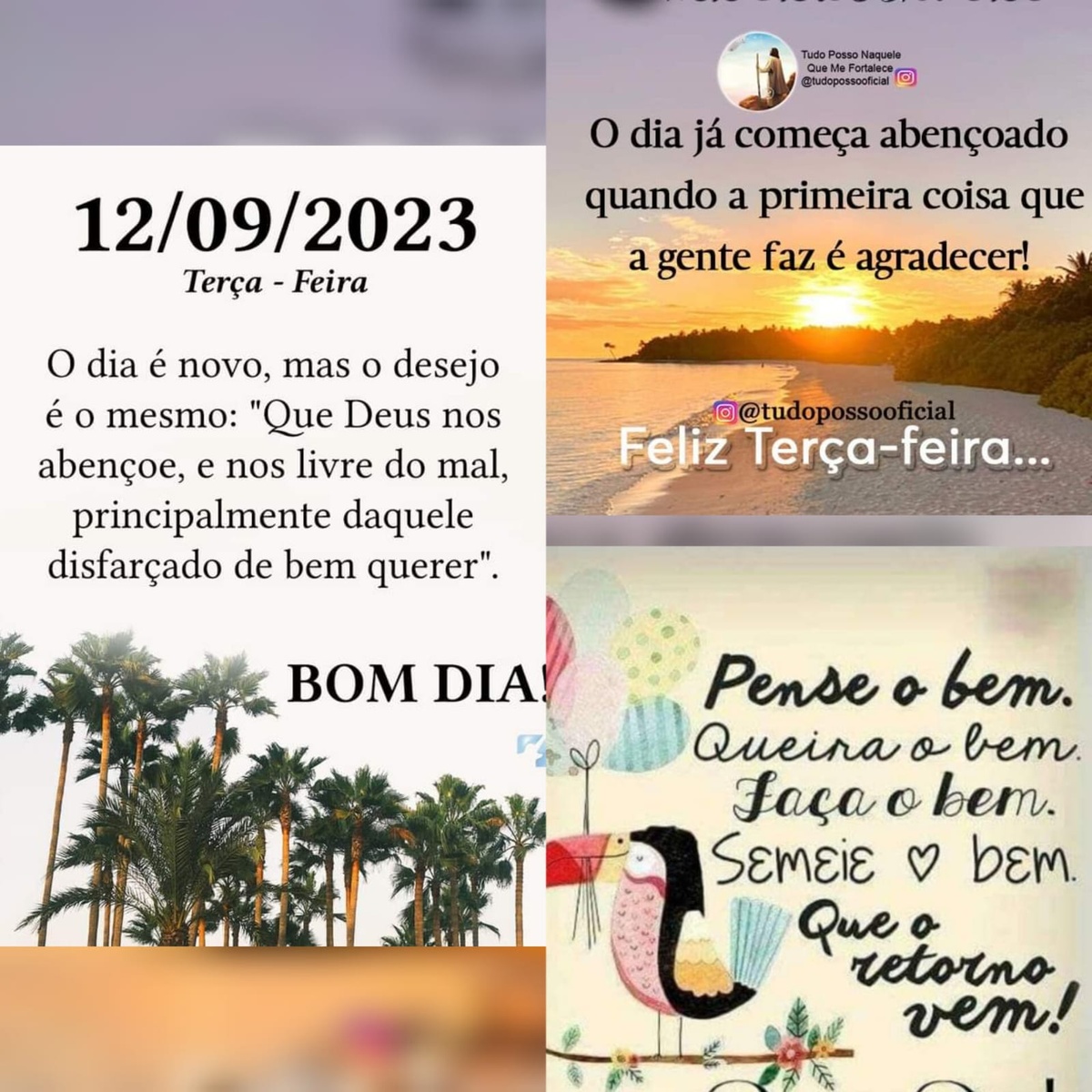 Pensamento do dia
