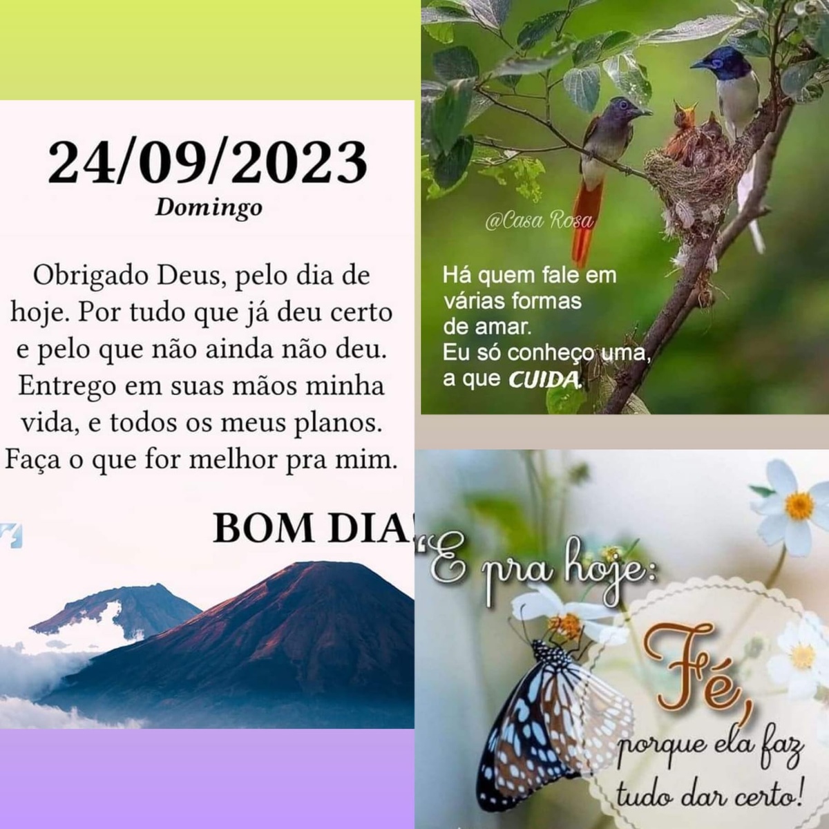 Pensamento do dia
