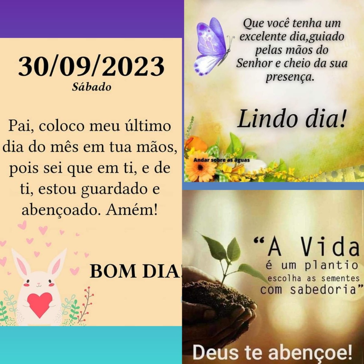 Pensamento do dia