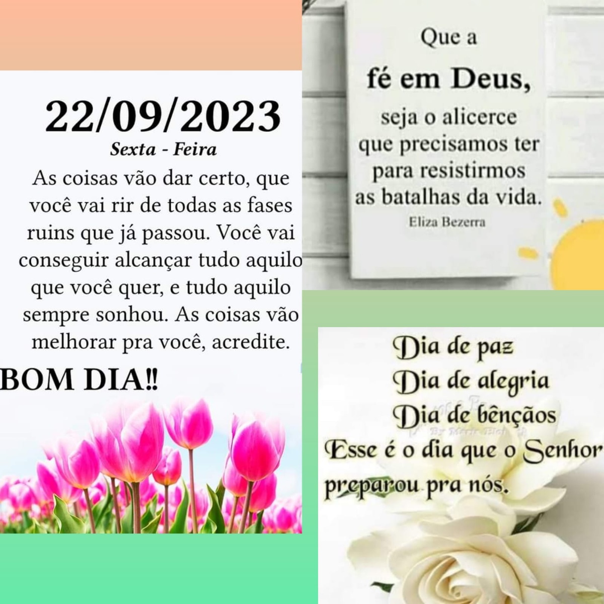 Pensamento do dia