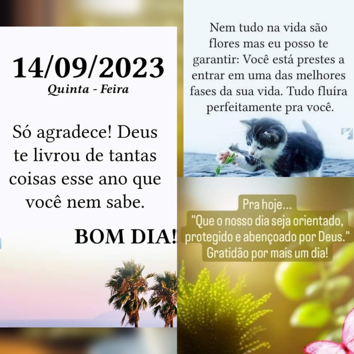 Pensamento do dia