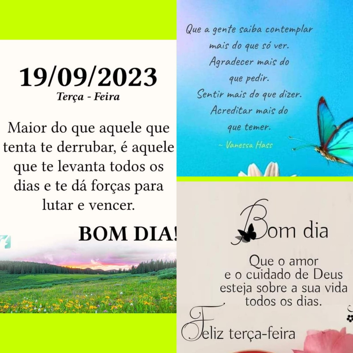 Pensamento do dia