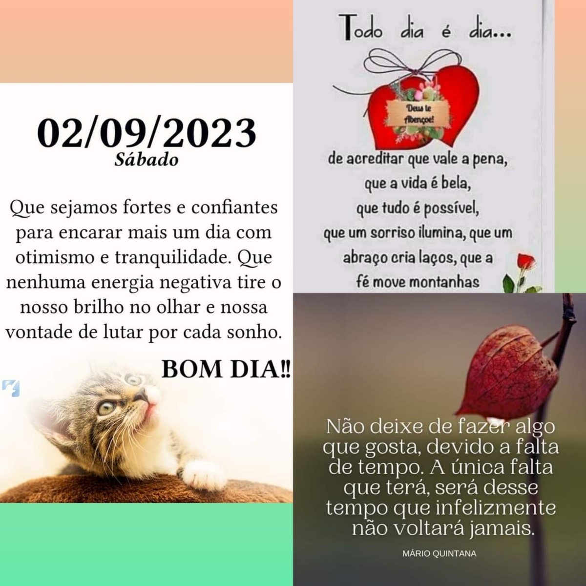 Pensamento do dia