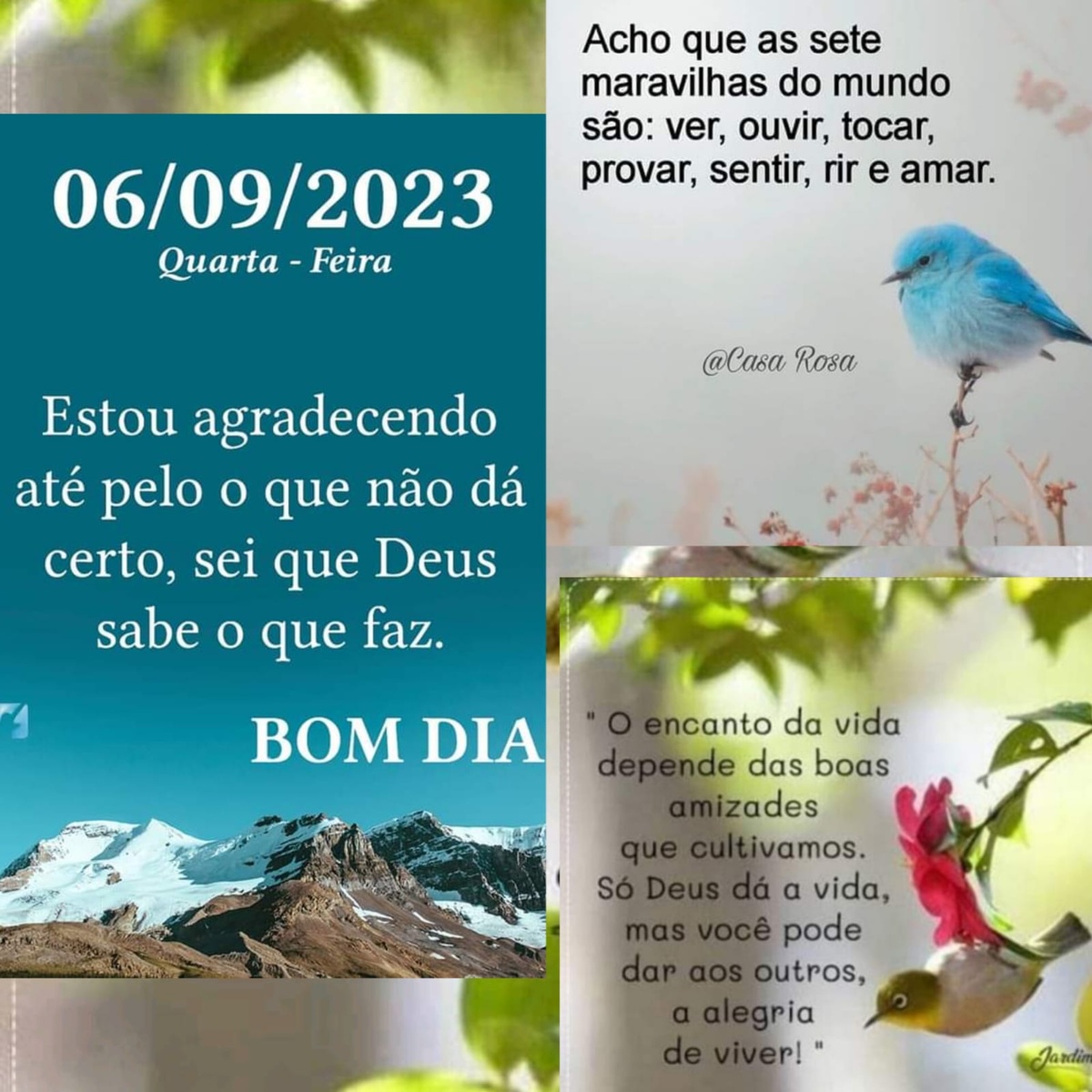 Pensamento do dia