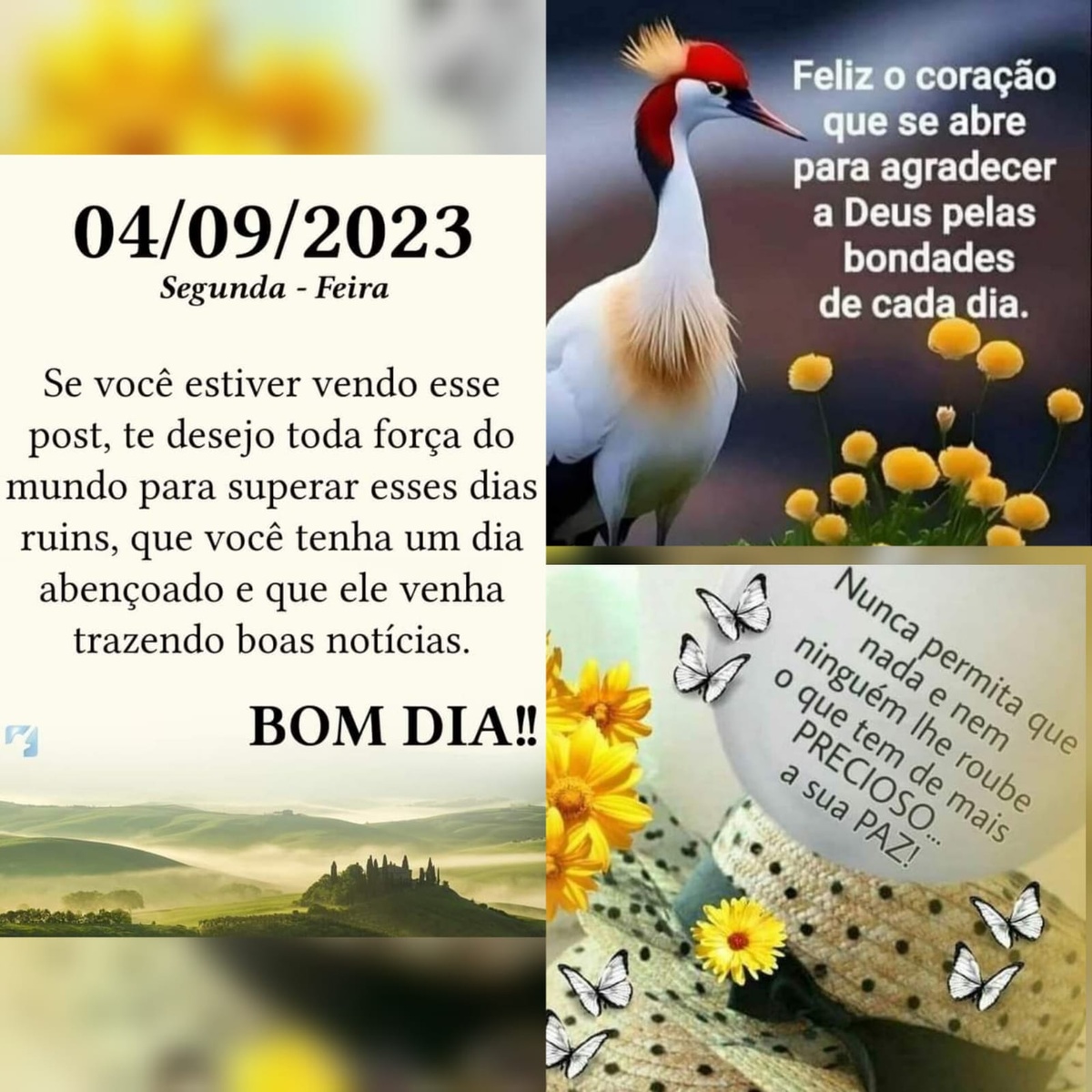 Pensamento do dia