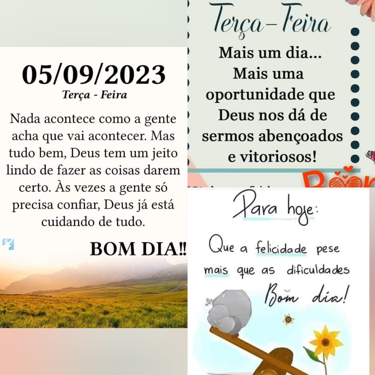 Pensamento do dia