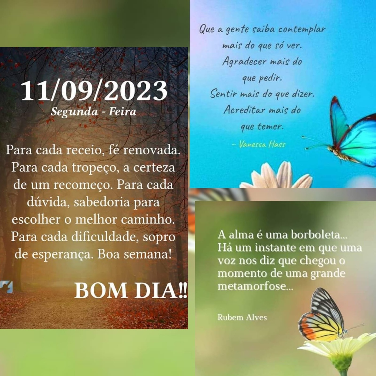 Pensamento do dia