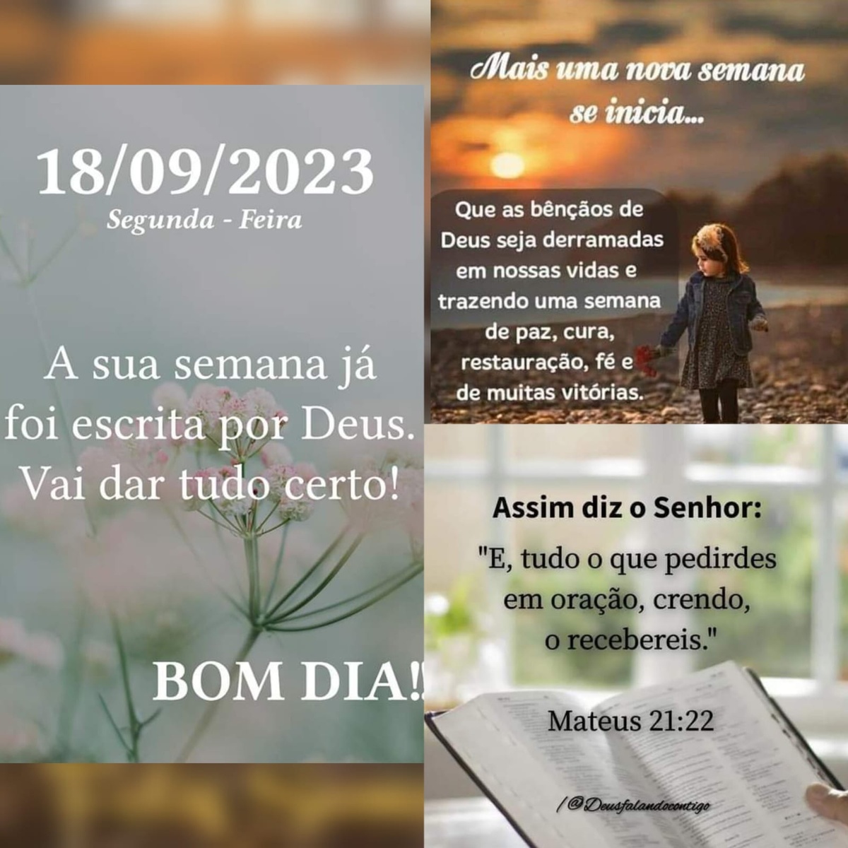 Pensamento do dia
