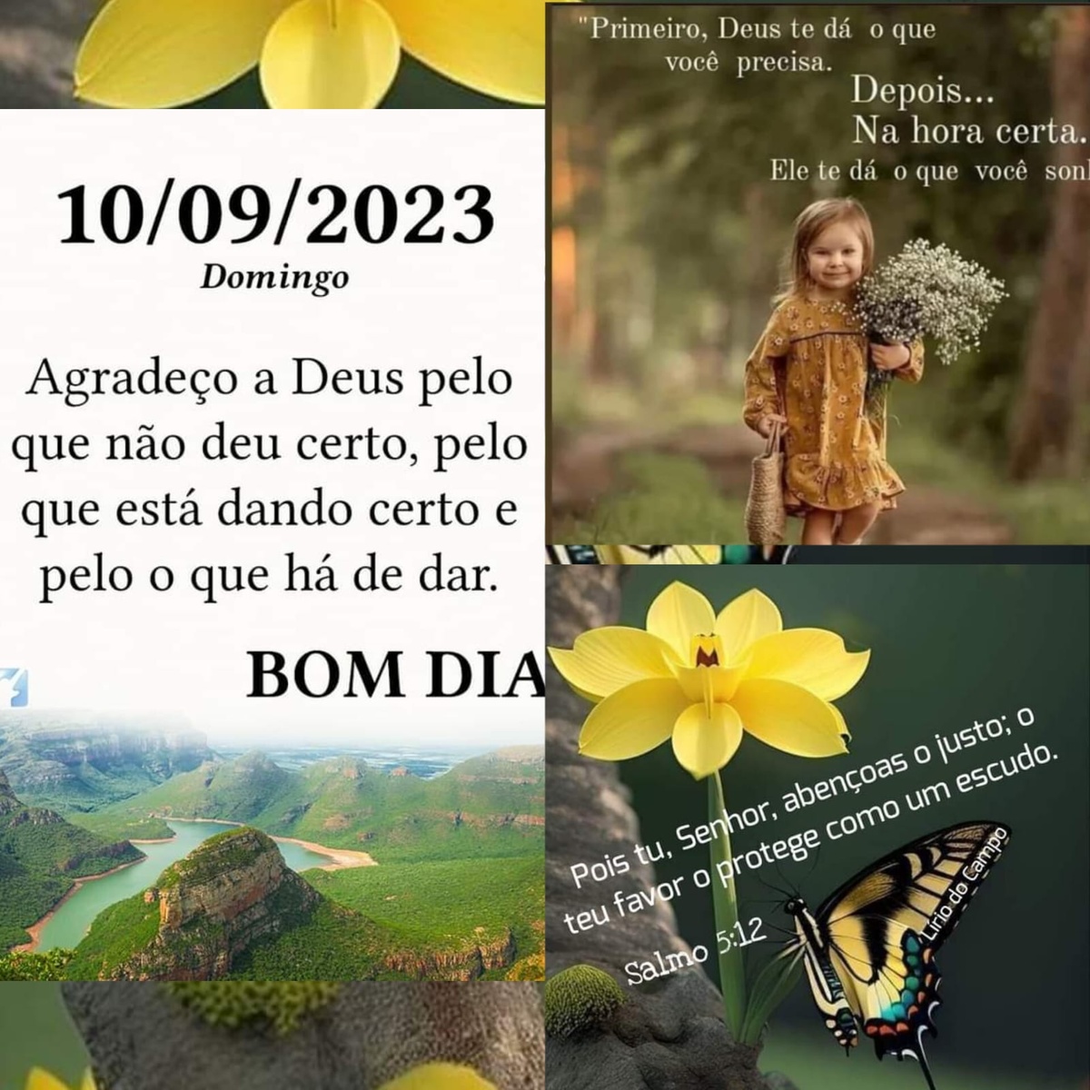 Pensamento do dia