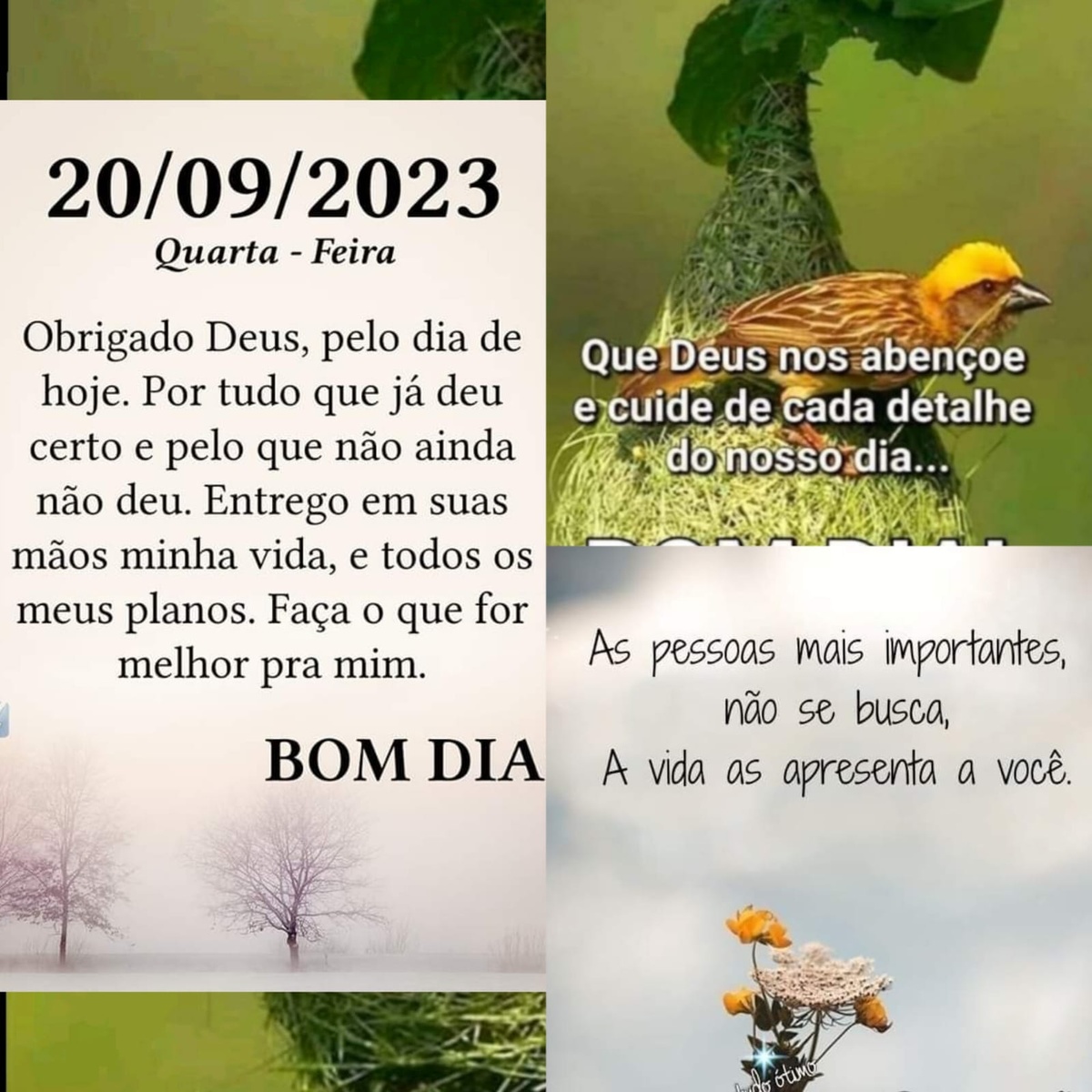 Pensamento do dia