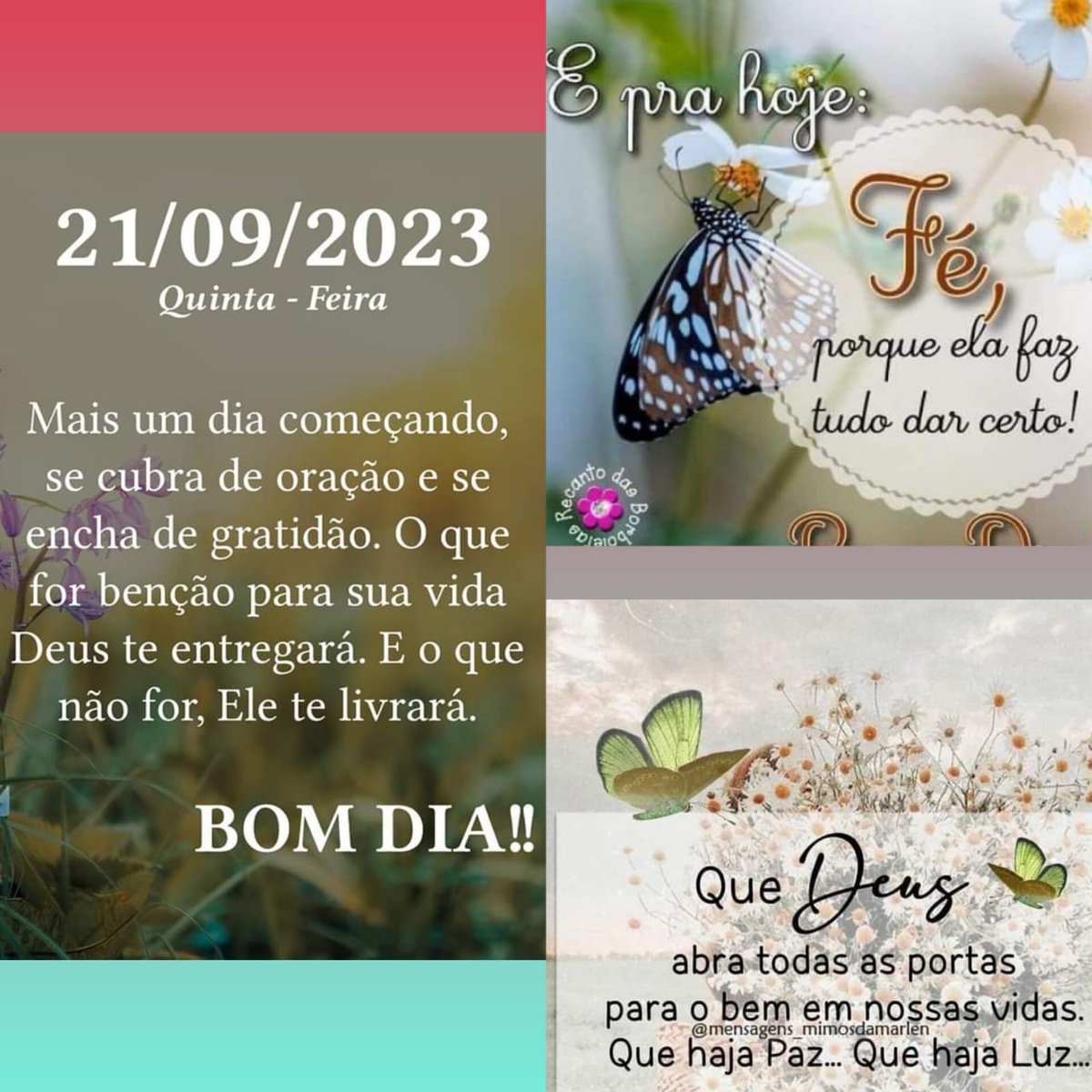 Pensamento do dia