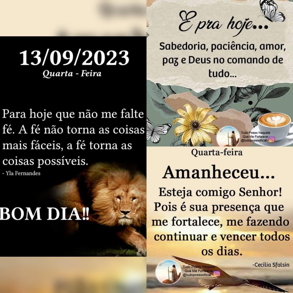 Pensamento do dia