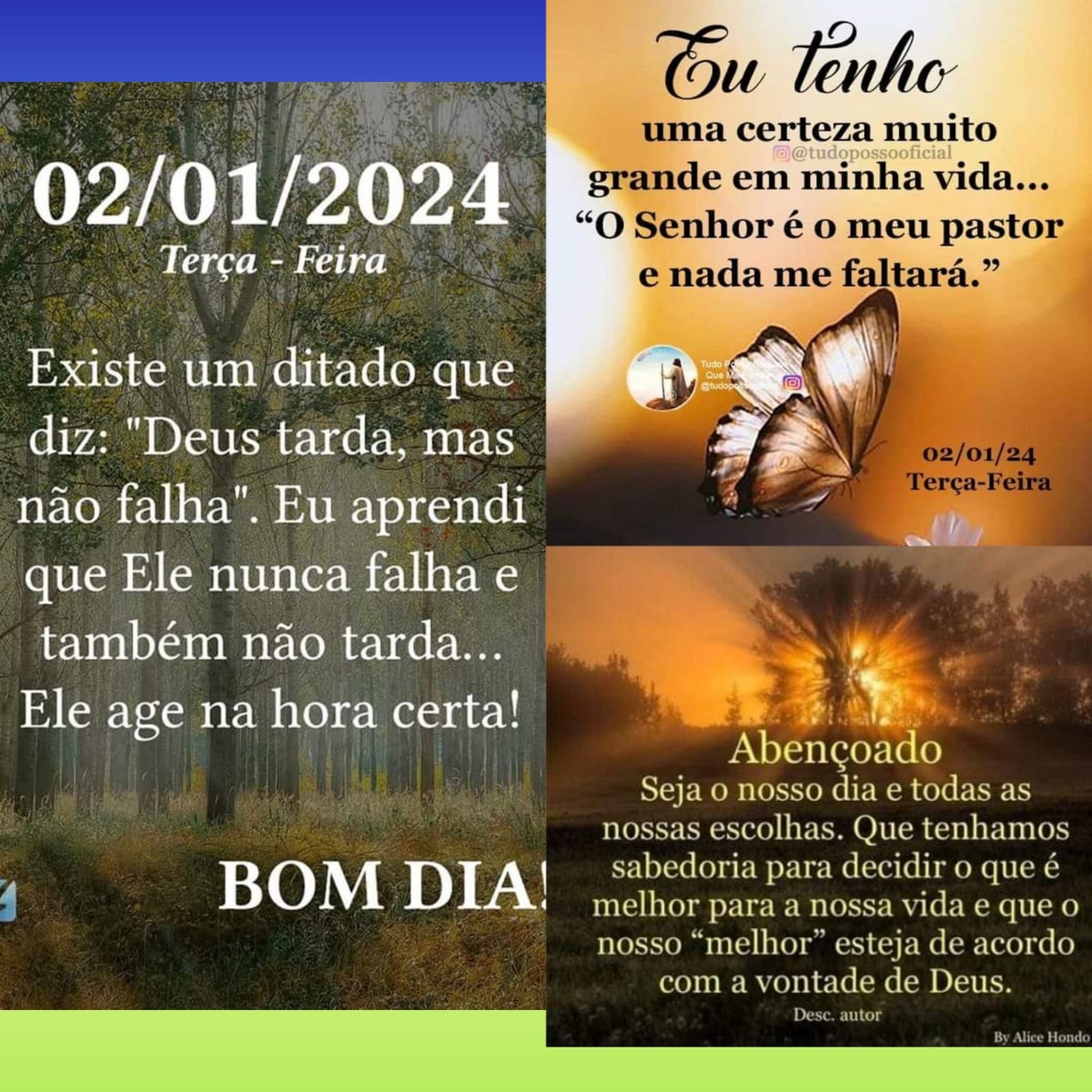 Pensamento do dia