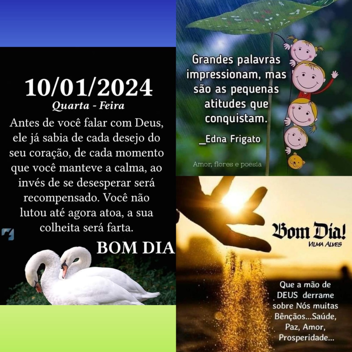 Pensamento do dia