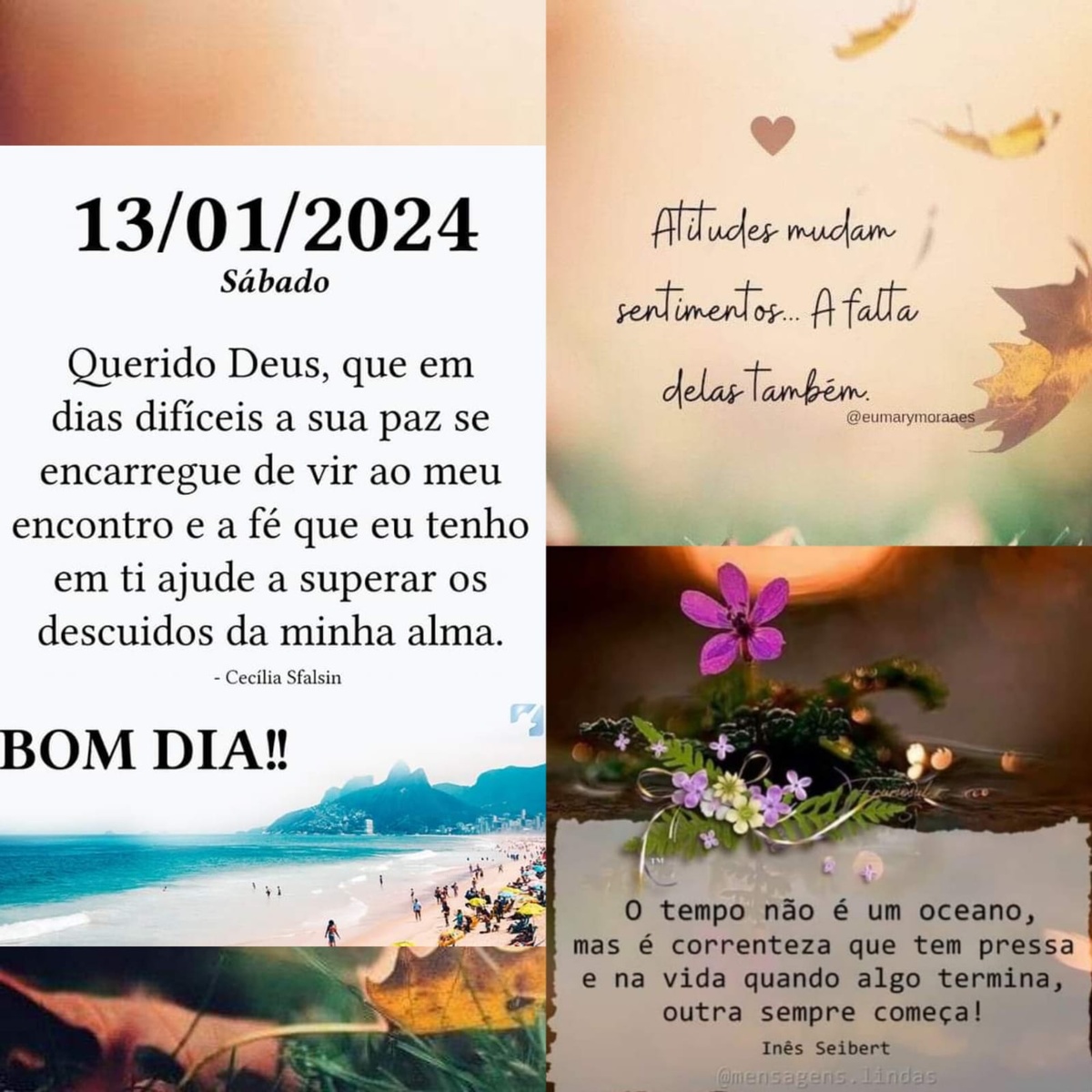 Pensamento do dia