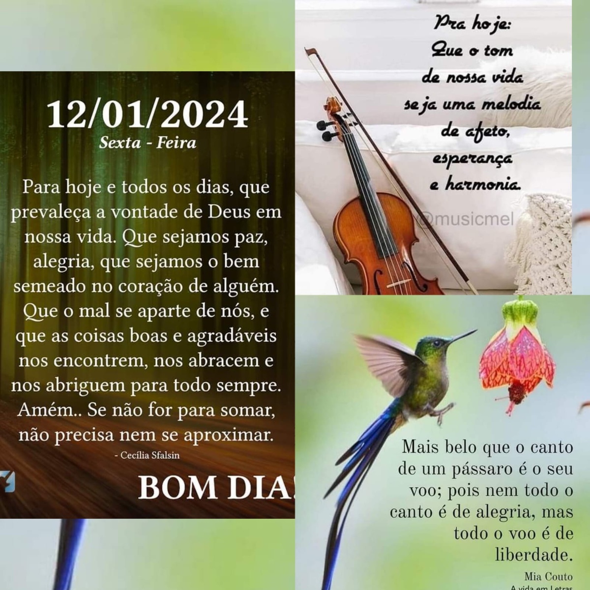Pensamento do dia
