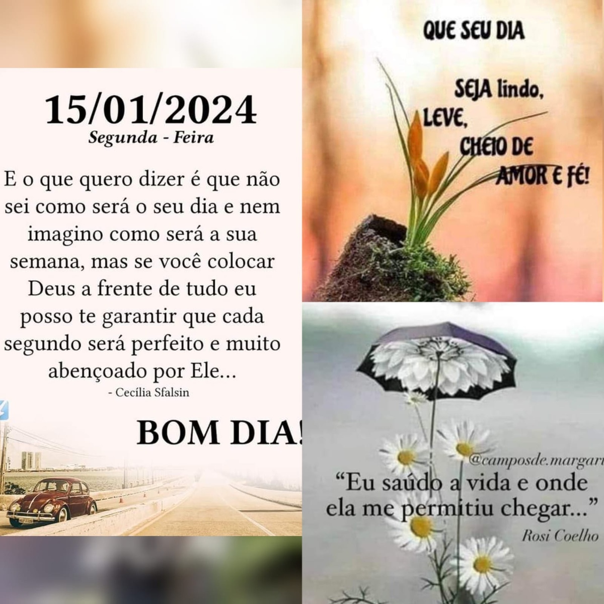 Pensamento do dia