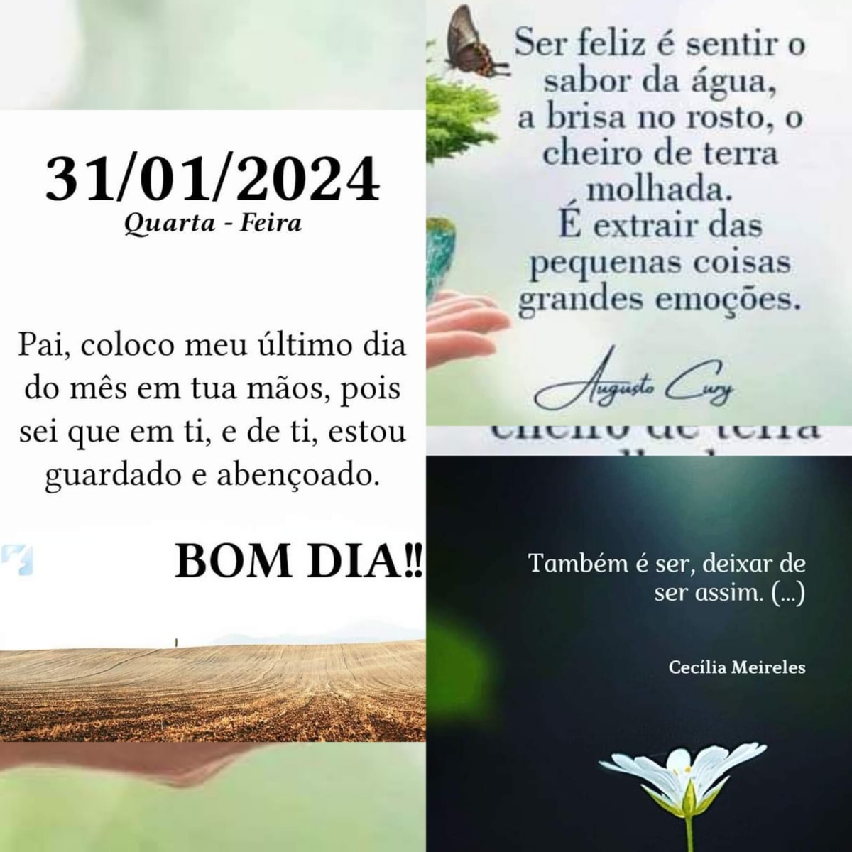 Pensamento do dia