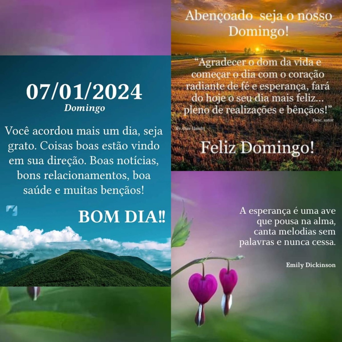 Pensamento do dia