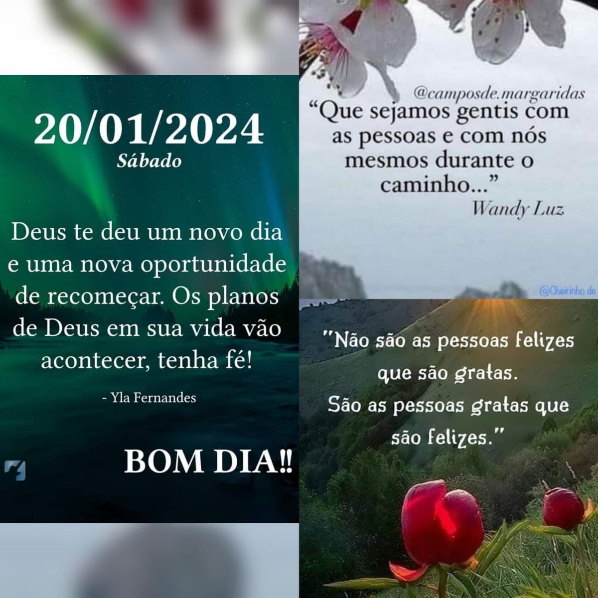 Pensamento do dia