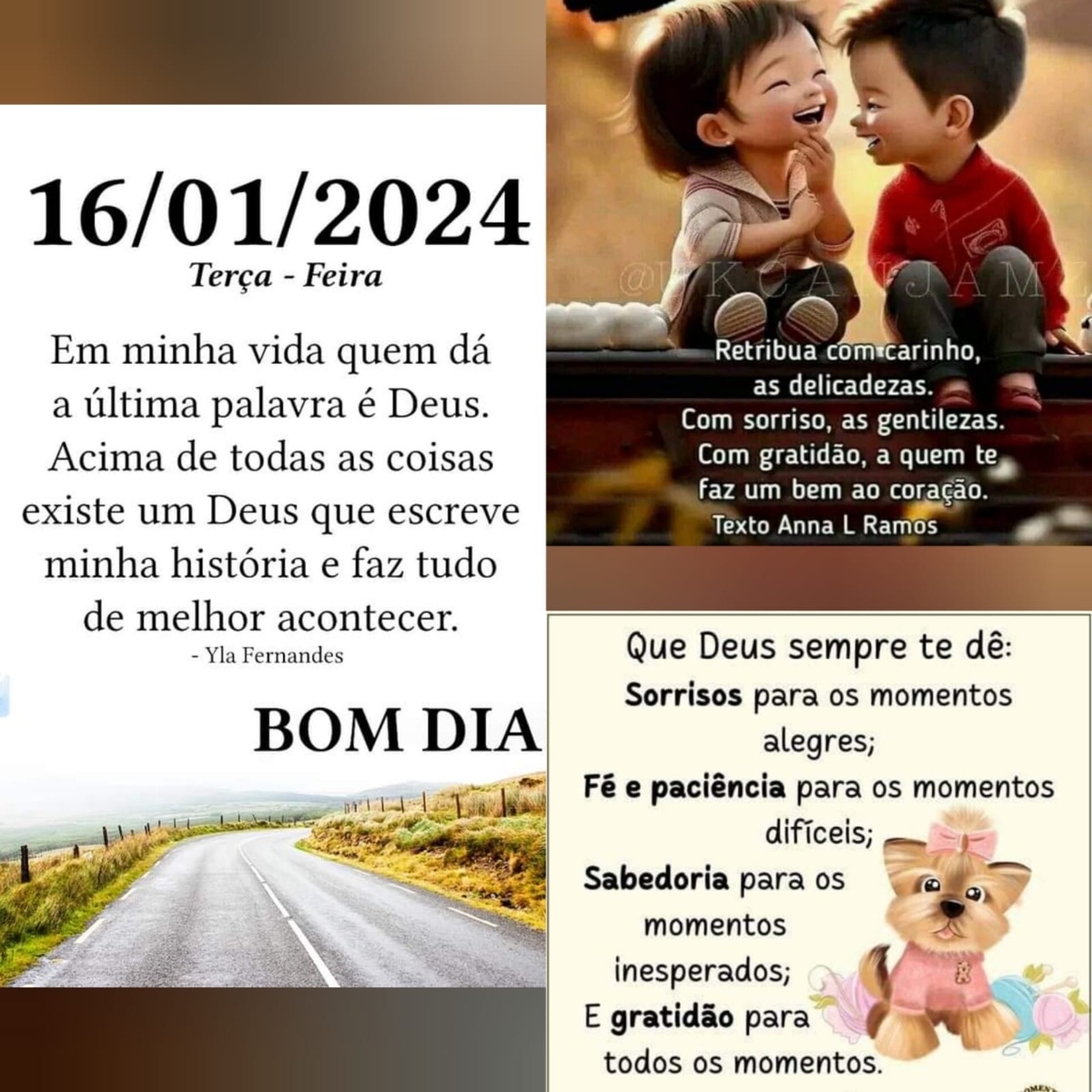 Pensamento do dia