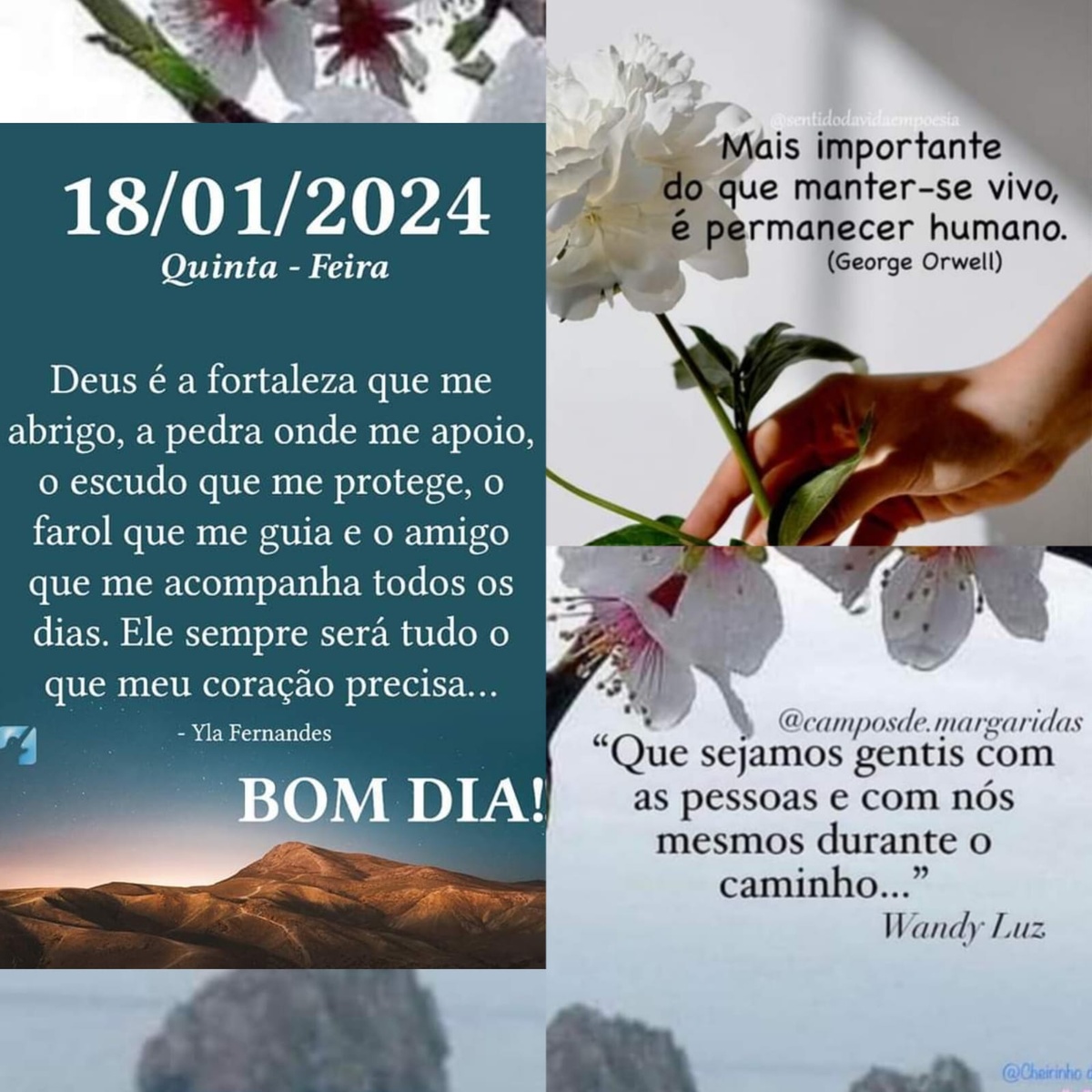 Pensamento do dia