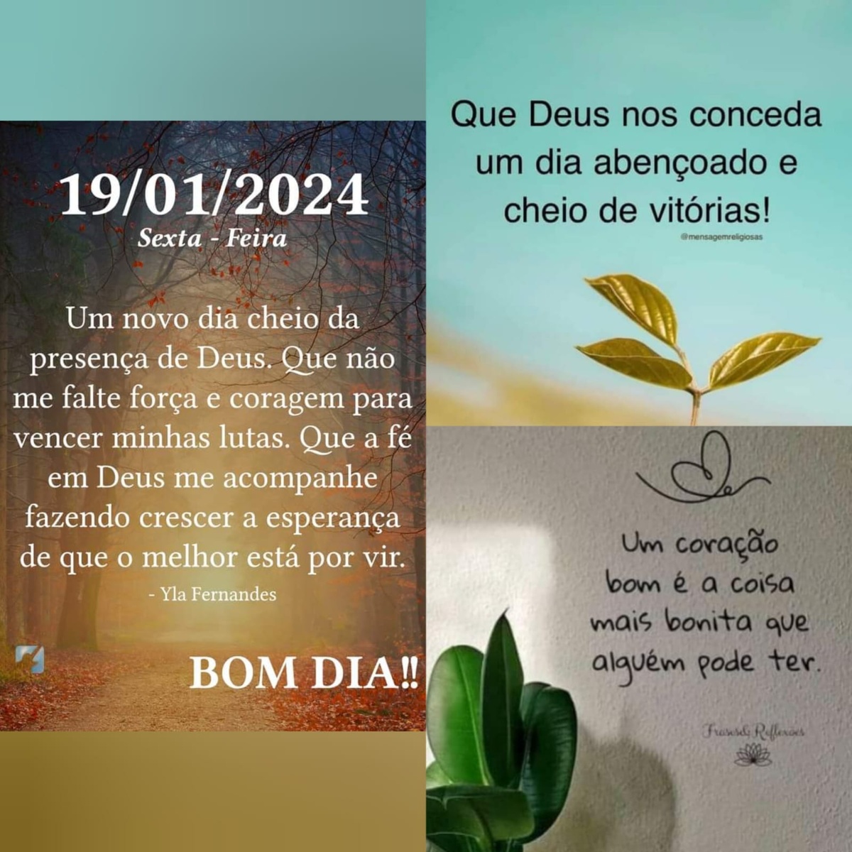 Pensamento do dia