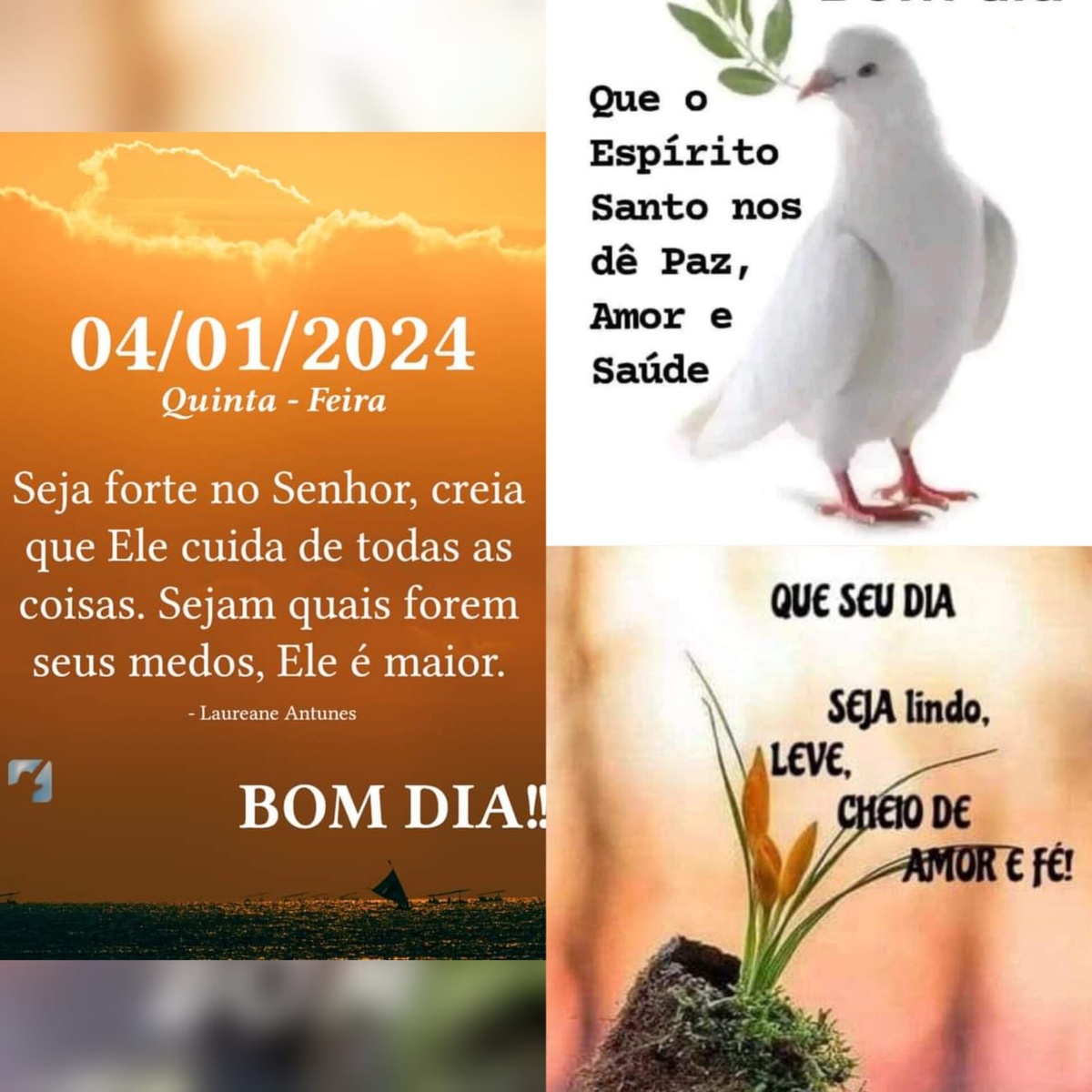Pensamento do dia