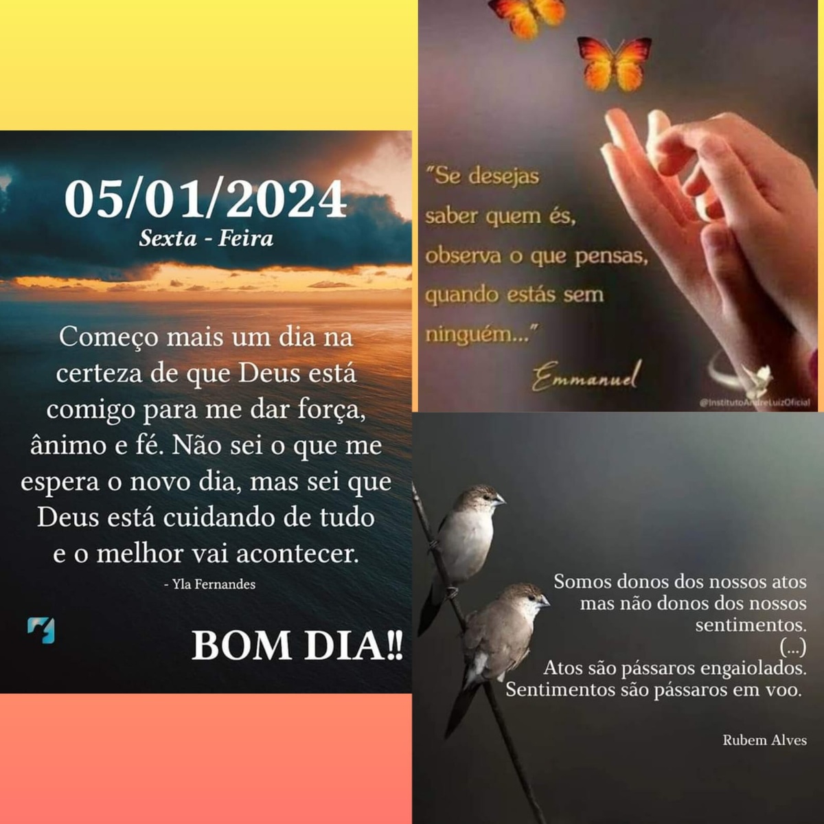 Pensamento do dia