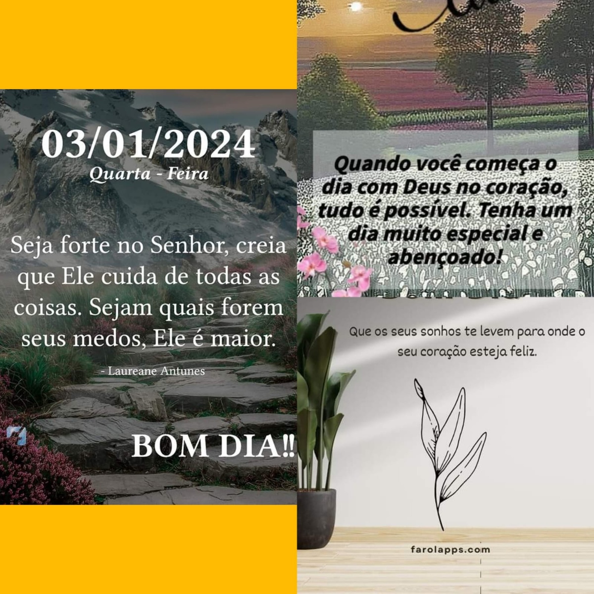Pensamento do dia