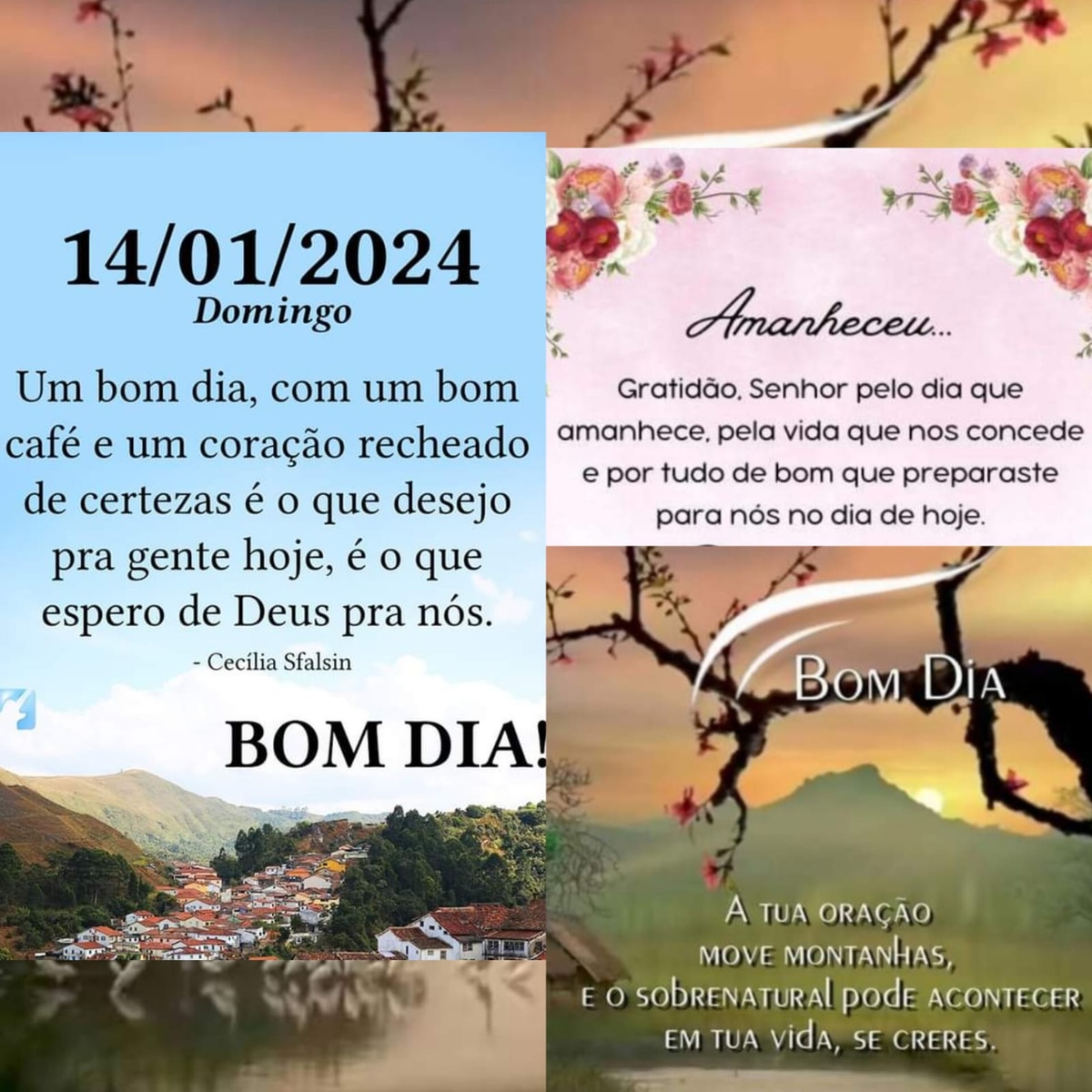 Pensamento do dia
