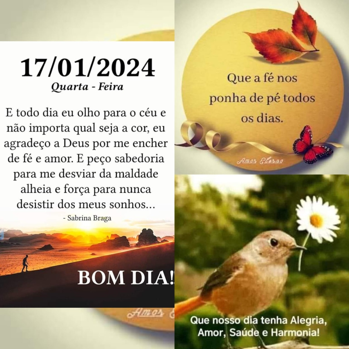 Pensamento do dia