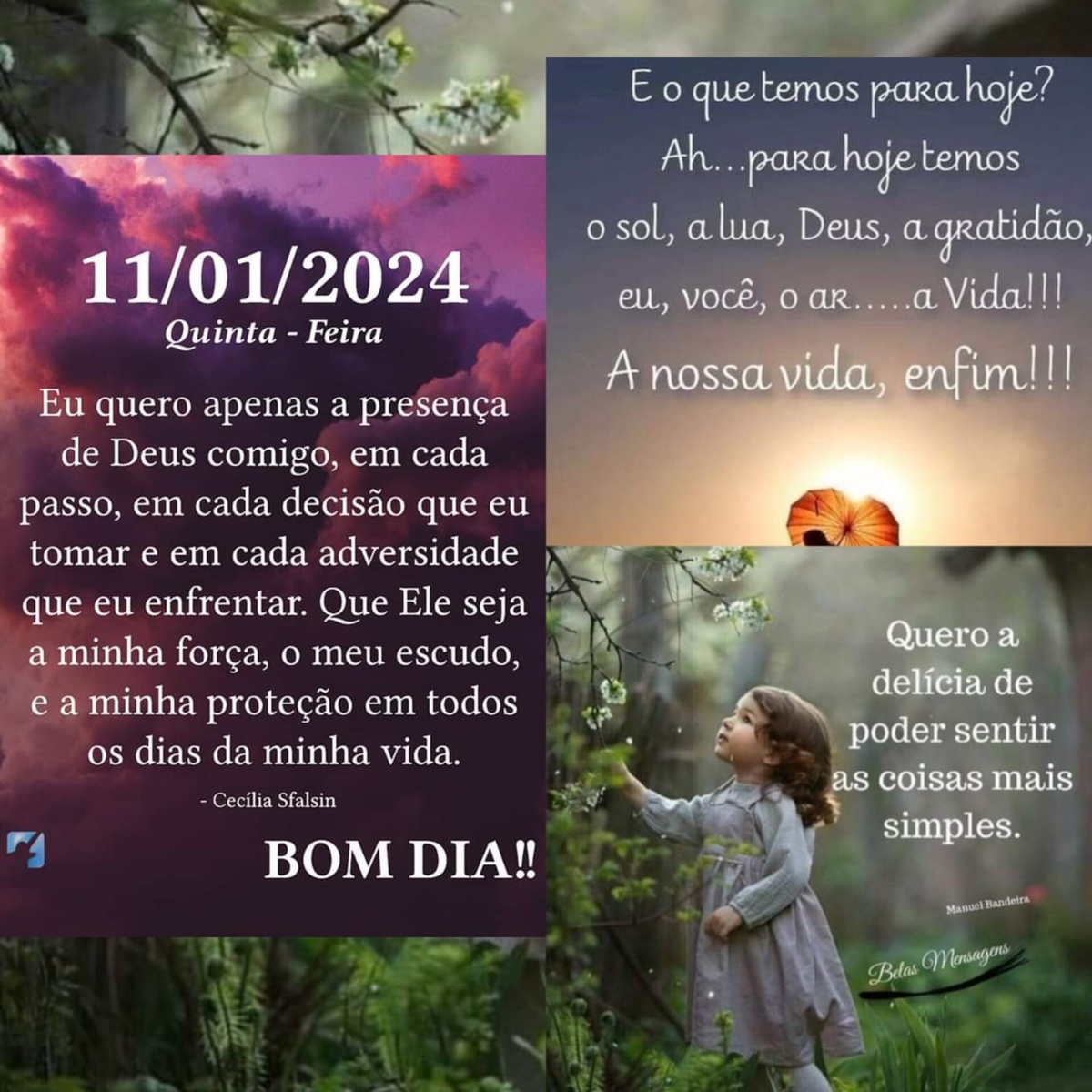 Pensamento do dia