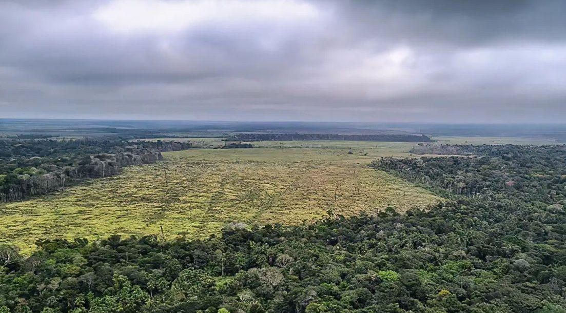 Área desmatada na Amazônia• Polícia Federal
