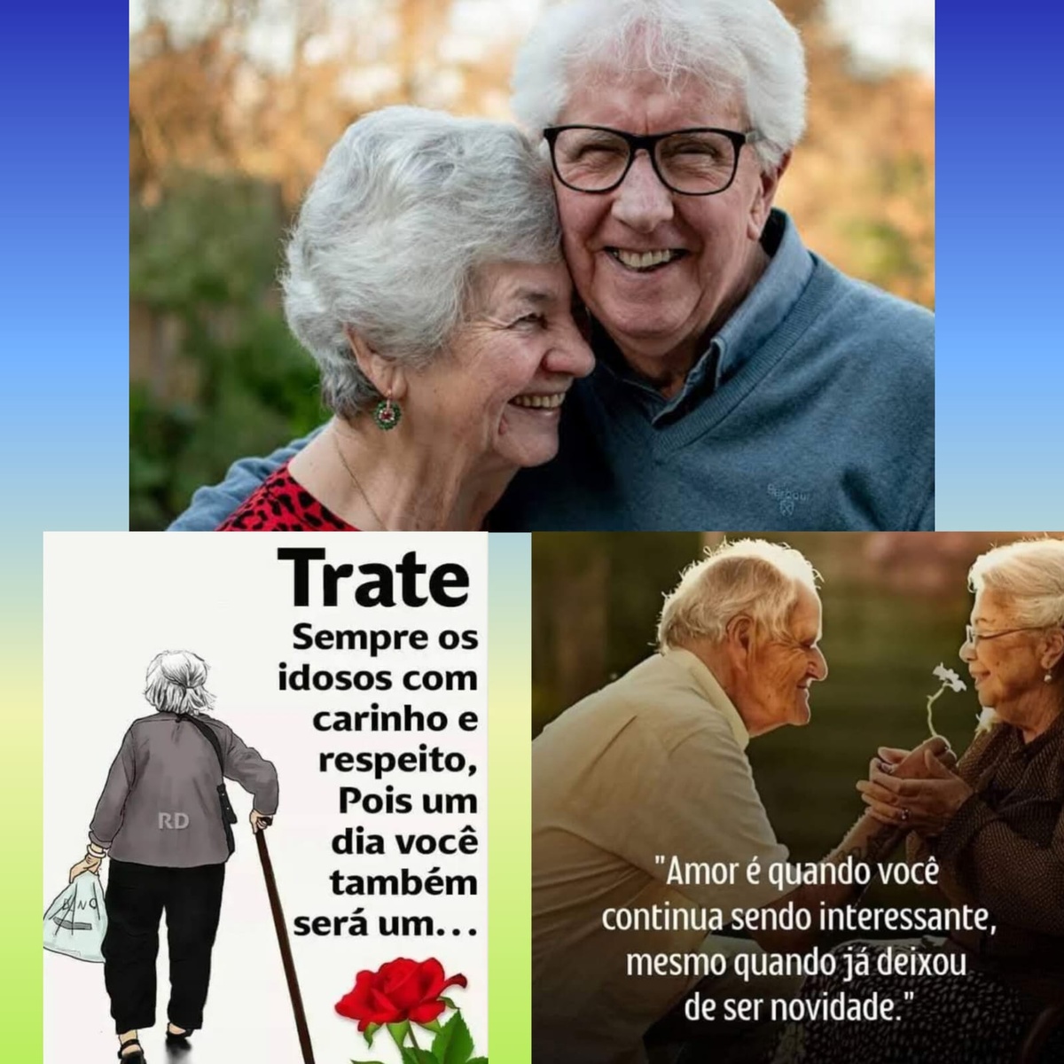 Pensamento do dia.