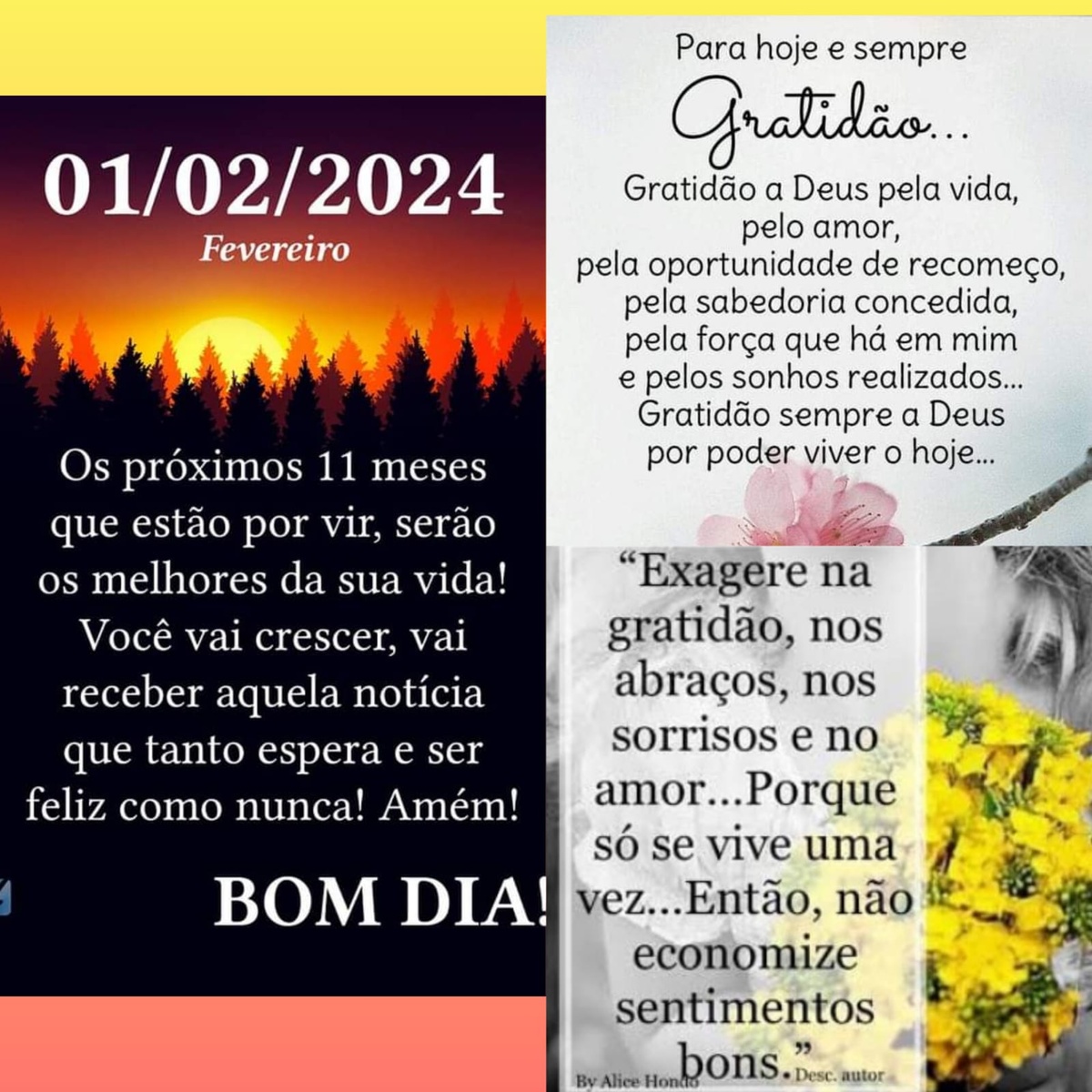 Pensamento do dia