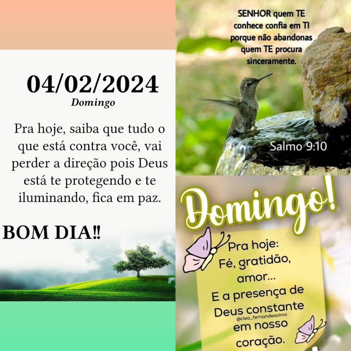 Pensamento do dia